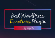 10+ Best WordPress Donations Plugin 2025