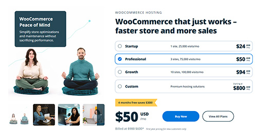 wpengine-woocommerce-coupon-code